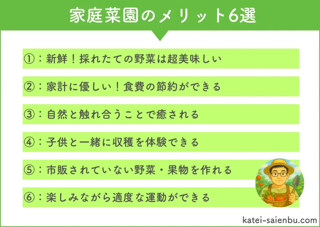 家庭菜園のメリット6選。1つ目、新鮮!採れたての野菜は超美味しい。2つ目、家計に優しい!食費の節約ができる。3つ目、自然と触れ合うことで癒される。4つ目、子供と一緒に収穫を体験できる。5つ目、市販されていない野菜・果物を作れる。6つ目、楽しみながら適度な運動ができる